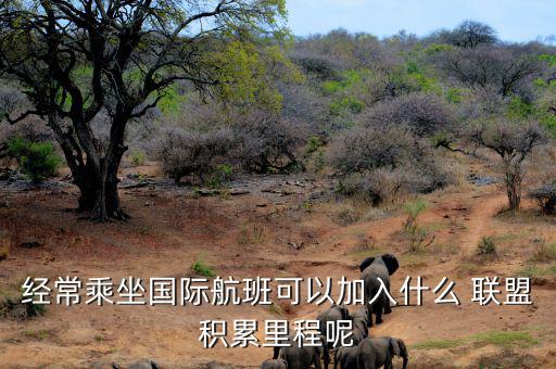 星空聯(lián)盟積分怎么算,南航、東航可通過明珠卡共享積分等