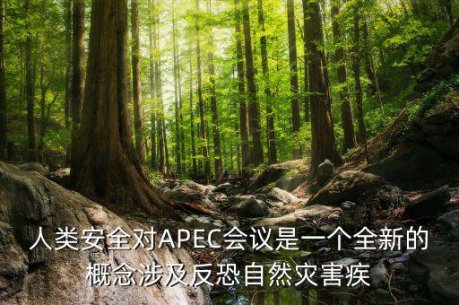 2014apec峰會簽署了什么文件，亞洲和太平洋地區(qū)經濟合作會議簡稱 APEC