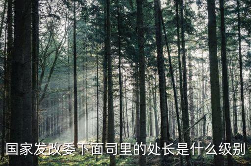央企處長(zhǎng)是什么級(jí)別，央企比如移動(dòng) 電信 聯(lián)通 中石油石化 這些企業(yè)縣的老總是什么級(jí)別