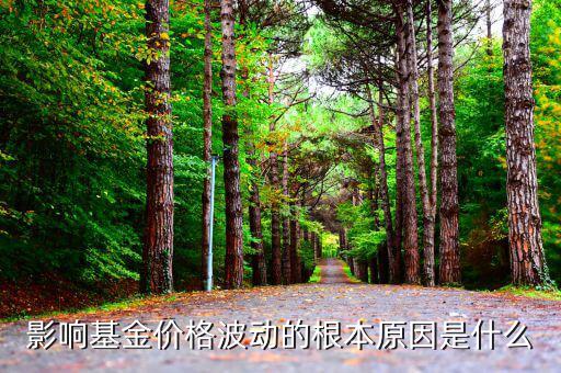 影響價(jià)格波動(dòng)的最根本因素是什么，影響價(jià)格波動(dòng)的最根本因素是什么證券投資學(xué)