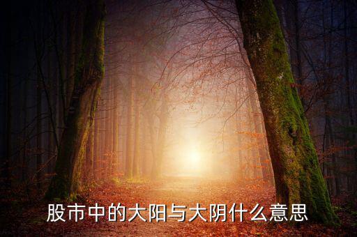 股票大陽是什么意思，股市中的大陽與大陰什么意思