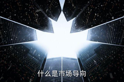 什么叫市場(chǎng)導(dǎo)向機(jī)制，什么是市場(chǎng)導(dǎo)向