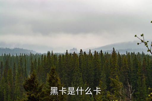 銀行卡黑卡是什么級別，黑卡是什么卡