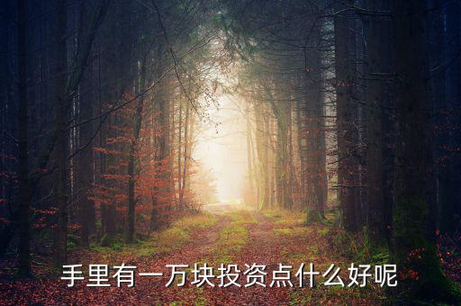 一萬元做什么投資，1萬元創(chuàng)業(yè)投資干什么好