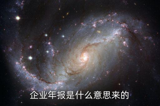 什么是企業(yè)年度報告，企業(yè)年報是什么意思來的