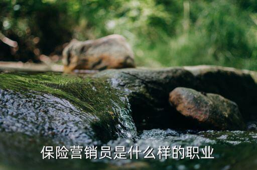 保險(xiǎn)承銷員是什么，保險(xiǎn)營(yíng)銷員是干什么的