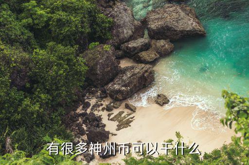 神州幣有什么用，神州幣充值卡是什么