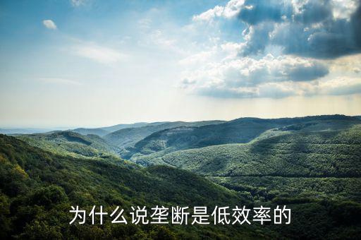 壟斷的無效率是什么，為什么說壟斷會導(dǎo)致低效率