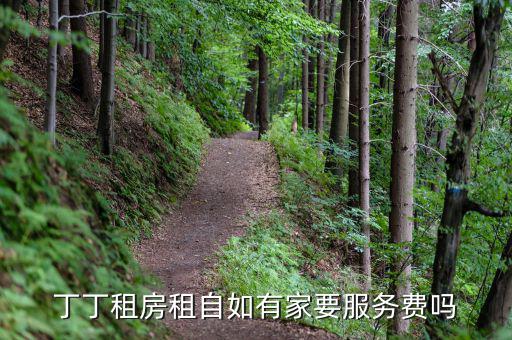 丁丁租房都收取什么費(fèi)用，丁丁租琴的費(fèi)用怎么算