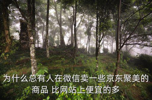 為什么聚美的價(jià)格便宜，聚美優(yōu)品怎么這么便宜