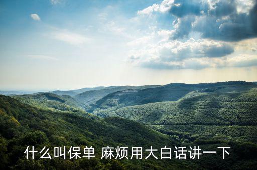 什么是保單，什么是保單