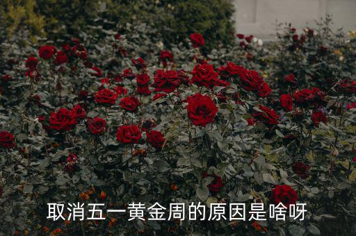 五一黃金周為什么取消，為什么取消五一黃金周