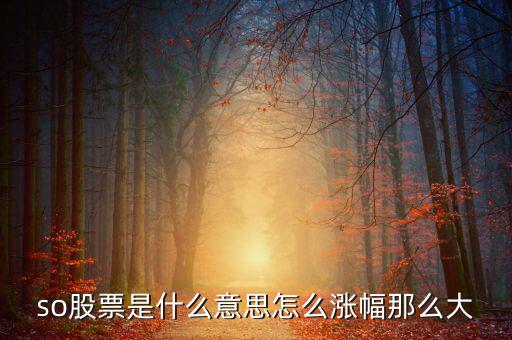 so股票是什么意思，股市上so開頭的是什么意思
