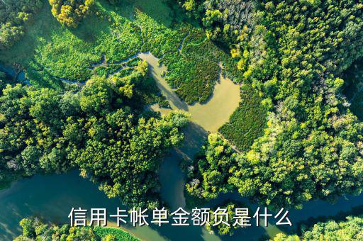 深圳發(fā)展銀行信用卡負(fù)金額是什么意思，信用卡帳單金額負(fù)是什么
