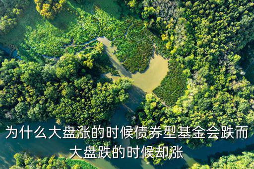為什么大盤跌基金漲，為啥大盤漲基金反而跌基金又漲