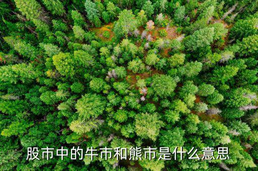熊市的意思是什么，股市中的牛市和熊市是什么意思