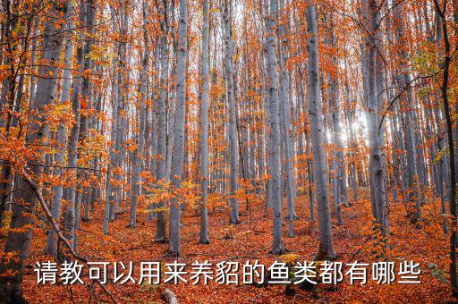 請(qǐng)教可以用來(lái)養(yǎng)貂的魚(yú)類(lèi)都有哪些