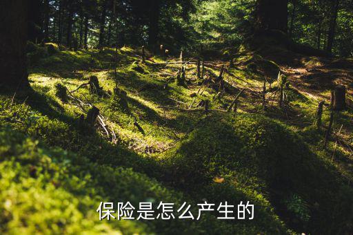 保險(xiǎn)的原理是什么，保險(xiǎn)是怎么產(chǎn)生的