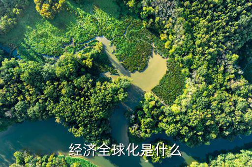 全球化風(fēng)險(xiǎn)包括什么，經(jīng)濟(jì)全球化是什么