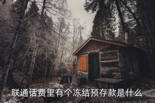 凍結(jié)預(yù)存款是什么意思，聯(lián)通話費里有個凍結(jié)預(yù)存款是什么