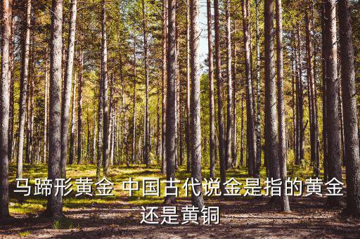 中國(guó)古代的黃金是什么，古代中國(guó)都使用了哪些金屬