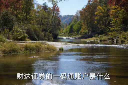 什么是一碼通證券賬戶，財達(dá)證券的一碼通賬戶是什么