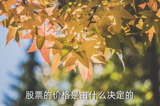 股票價格由什么決定的，股票的價格是由什么決定的