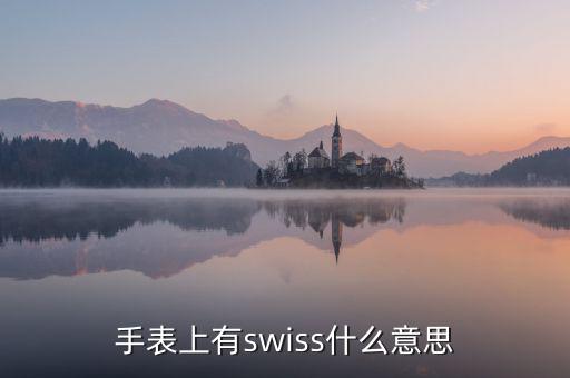 歐行手表什么意思，手表上有swiss什么意思