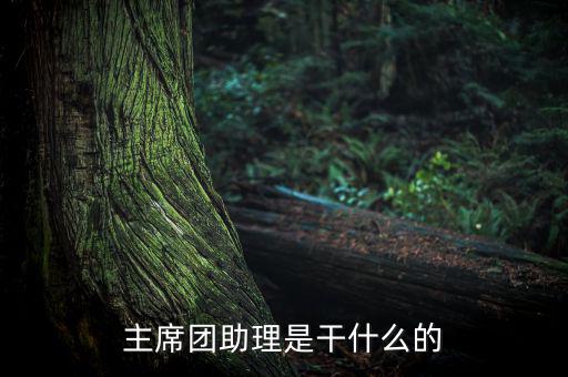 主席團(tuán)助理做什么，主席團(tuán)助理是干什么的