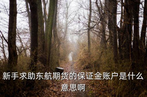 金保證財(cái)富管理和東航什么關(guān)系，國鼎旗下的可溯貸資金安全嗎