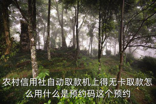 農(nóng)行預(yù)約碼是什么，農(nóng)商銀行預(yù)約取款預(yù)約碼是什么