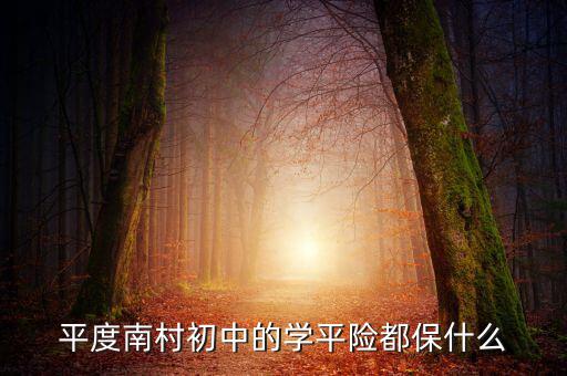 學(xué)平險保些什么，中國人壽60元的學(xué)平險保什么