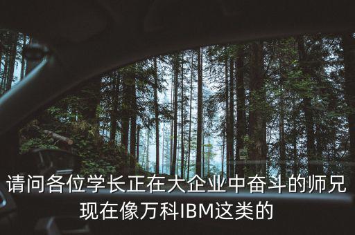 請問各位學長正在大企業(yè)中奮斗的師兄現在像萬科IBM這類的