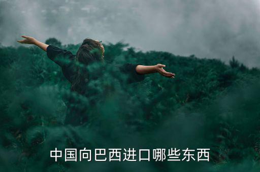 美國(guó)從巴西進(jìn)口什么，中國(guó)向巴西進(jìn)口哪些東西