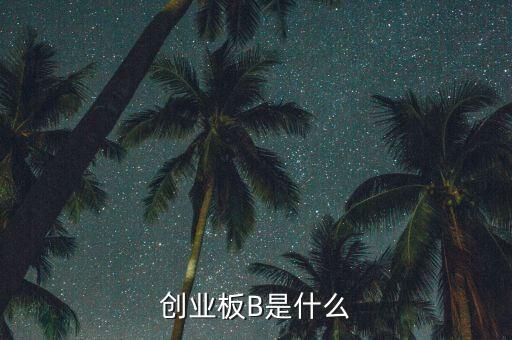 創(chuàng)業(yè)板b杠桿是什么，創(chuàng)業(yè)板B是什么