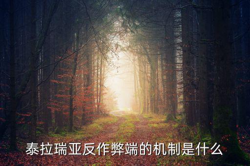 什么是反舞弊機(jī)制，google廣告聯(lián)盟反作弊系統(tǒng)原理嗎