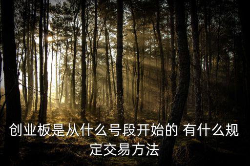 創(chuàng)業(yè)板什么開頭，創(chuàng)業(yè)板代碼什么數(shù)字開頭