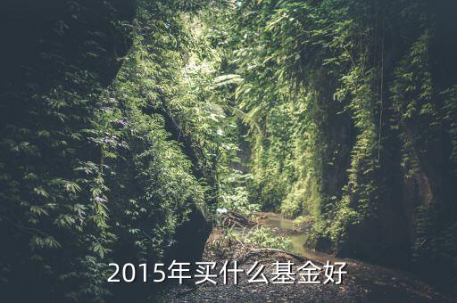 2015年5月買什么基金好，2015年五一勞動節(jié)前后過后買什么基金好