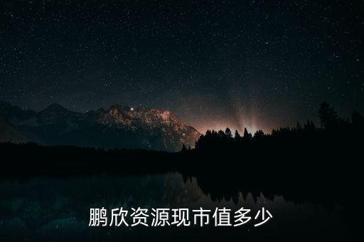 鵬欣資源是什么公司，鵬欣資源現市值多少