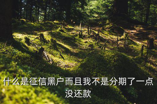 什么樣的征信算黑戶，什么是征信黑戶而且我不是分期了一點(diǎn)沒(méi)還款