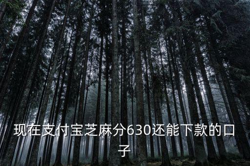 支付寶口子是什么意思，支付寶口子是什么意思