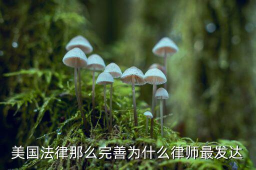 為什么美國賠償那么高，美國人為什么那么高