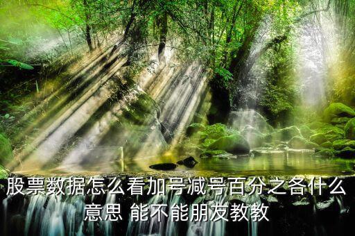 證券如何看漲停加減什么意思，漲停時買一后邊的數(shù)加減是什么意思