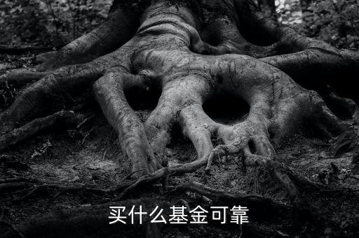 什么基金靠譜，哪些基金公司比較靠譜
