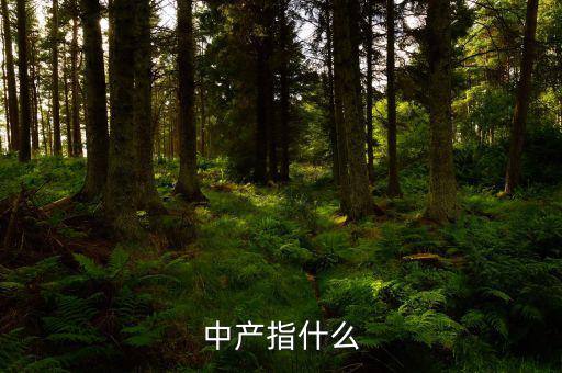 中產(chǎn)消費(fèi)什么，網(wǎng)易電商平臺(tái)帶給中產(chǎn)消費(fèi)者的核心價(jià)值是什么