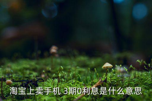 三零分期什么意思，淘寶上賣手機 3期0利息是什么意思