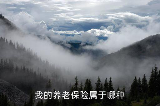 養(yǎng)老保險(xiǎn)屬于什么保險(xiǎn)，養(yǎng)老保險(xiǎn)屬于什么保險(xiǎn)