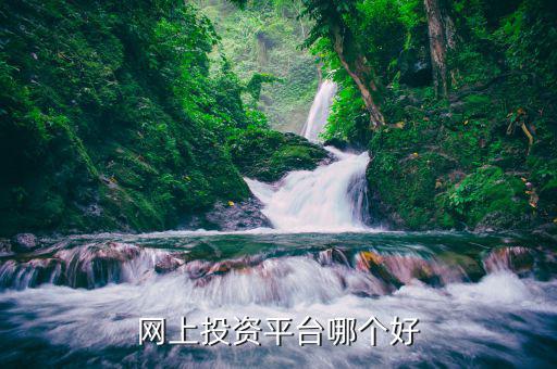 什么網(wǎng)絡(luò)投資好，網(wǎng)上投資平臺哪個(gè)好