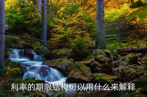 利率的期限結(jié)構(gòu)可以用什么來解釋，簡述利率的期限結(jié)構(gòu)