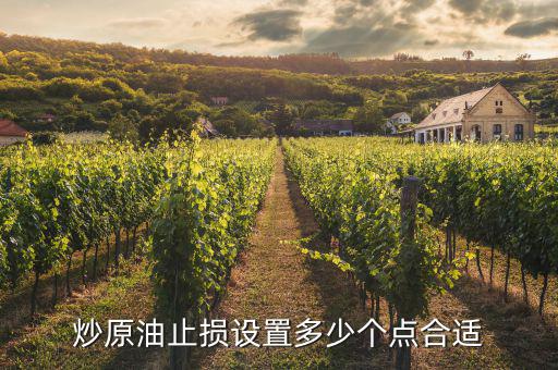 止損點是什么意思，什么是止損點如何設(shè)置止損點